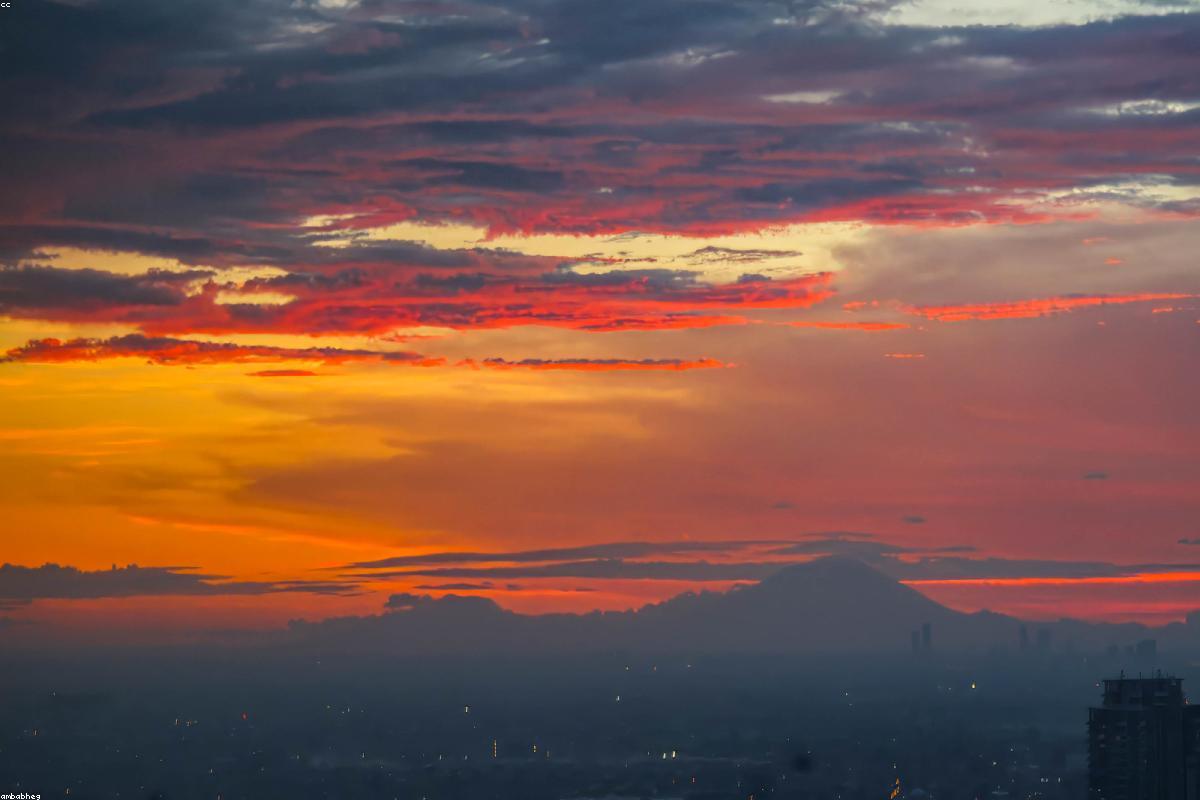 Universitas Airlangga — Fermentasi Gulma Air Jadi Pakan Ikan Murah