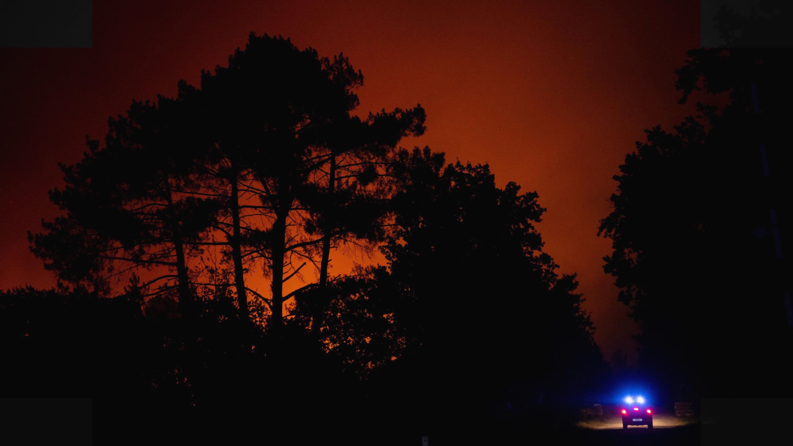 Prancis — 420 Orang Ditangkap karena Bakar Hutan, 166 di Antaranya Anak-anak