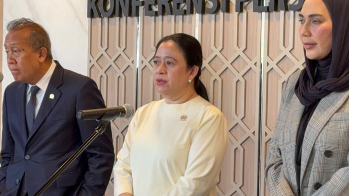Puan Maharani: Safari Politik Jokowi Merupakan Hak Setiap Warga Negara