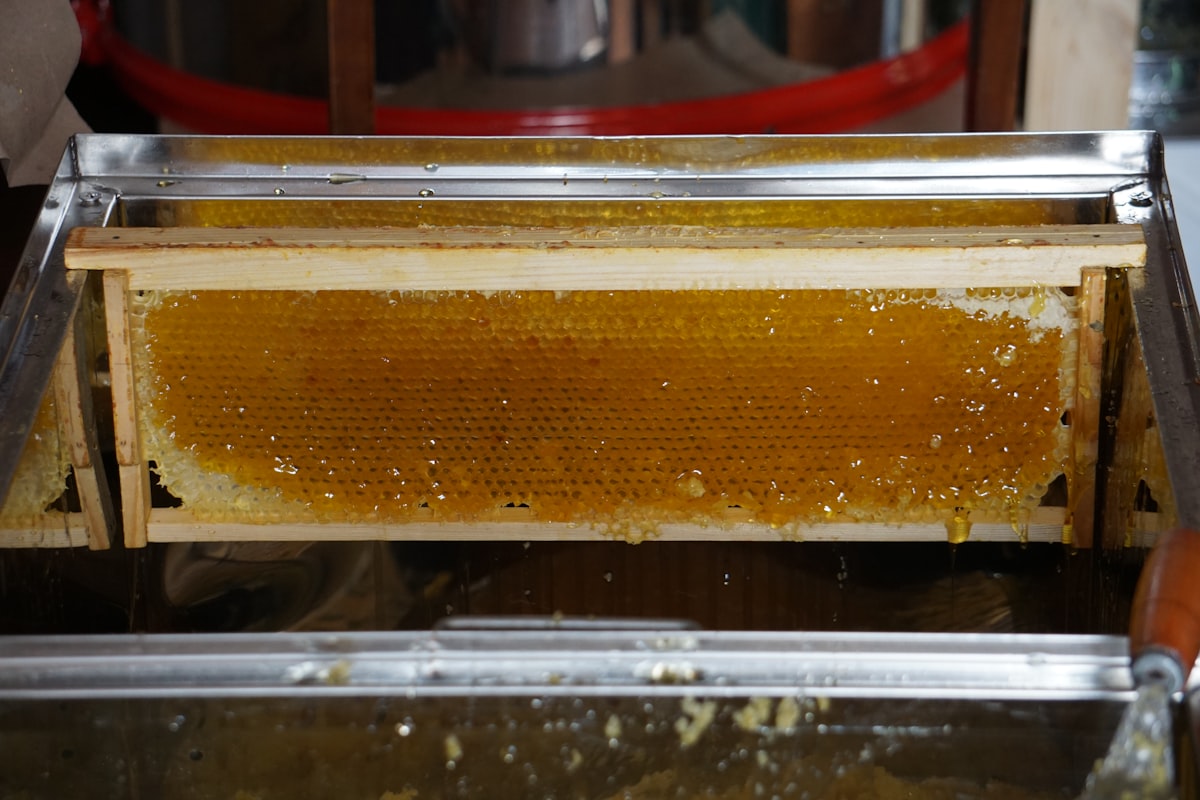 Mengenal Tiga Metode Pengolahan Kopi: Natural, Washed, dan Honey Process yang Menentukan Karakter Ra