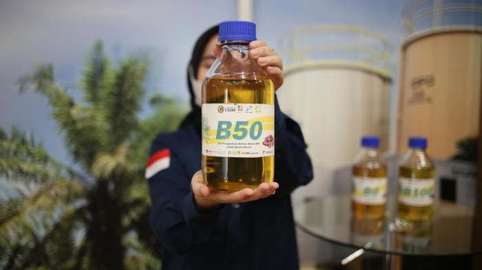 Pengusaha Kapal Minta Penerapan B50 Dilakukan Bertahap, Ini Alasannya