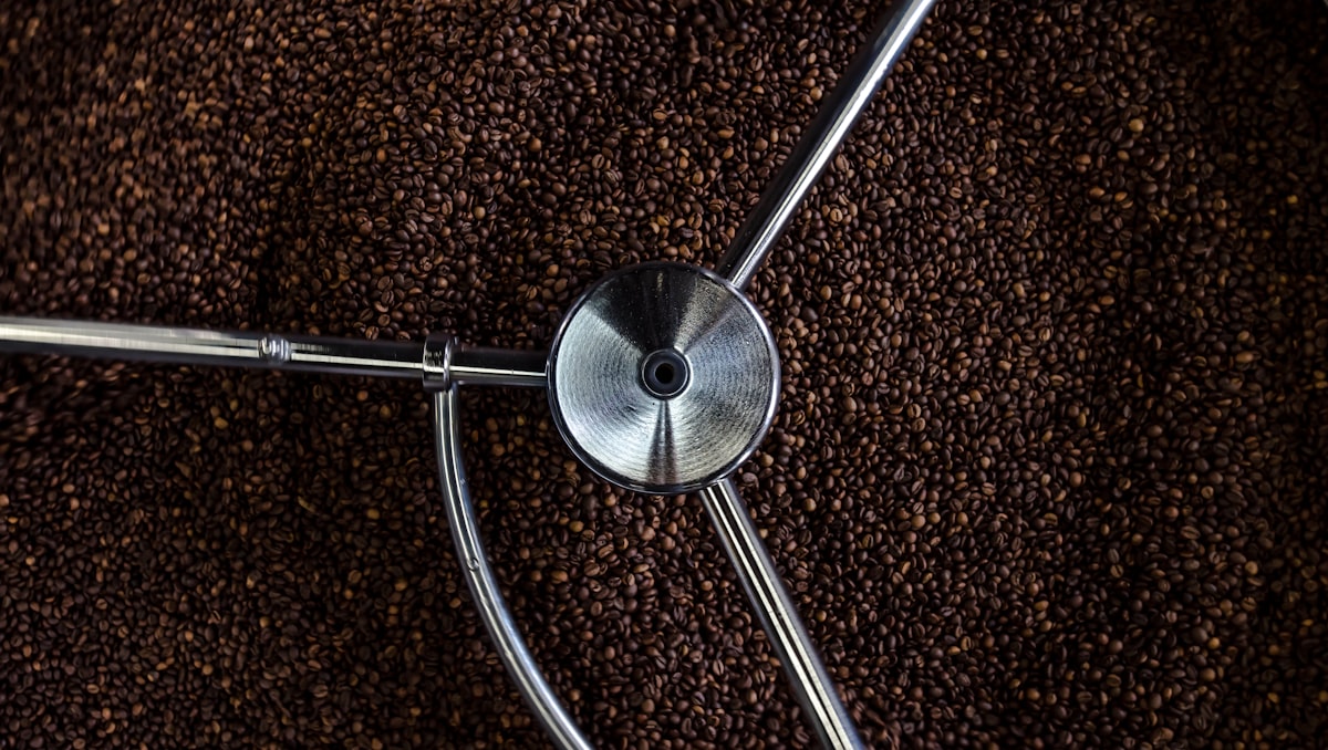 Mengungkap Misteri Rasa di Cangkir Anda: Flavor Wheel Kopi sebagai Peta Aroma Nusantara