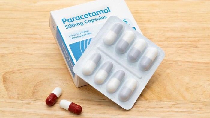 Kementan Peringatkan Bahaya Penggunaan Paracetamol untuk Menyuburkan Tanaman Cabai