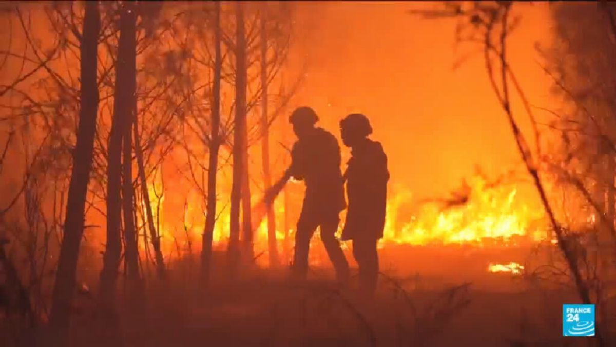 GIRONDE — Kebakaran Hutan Gironde Ancam Situs Pertahanan dan Picu Relawan Turun Tangan