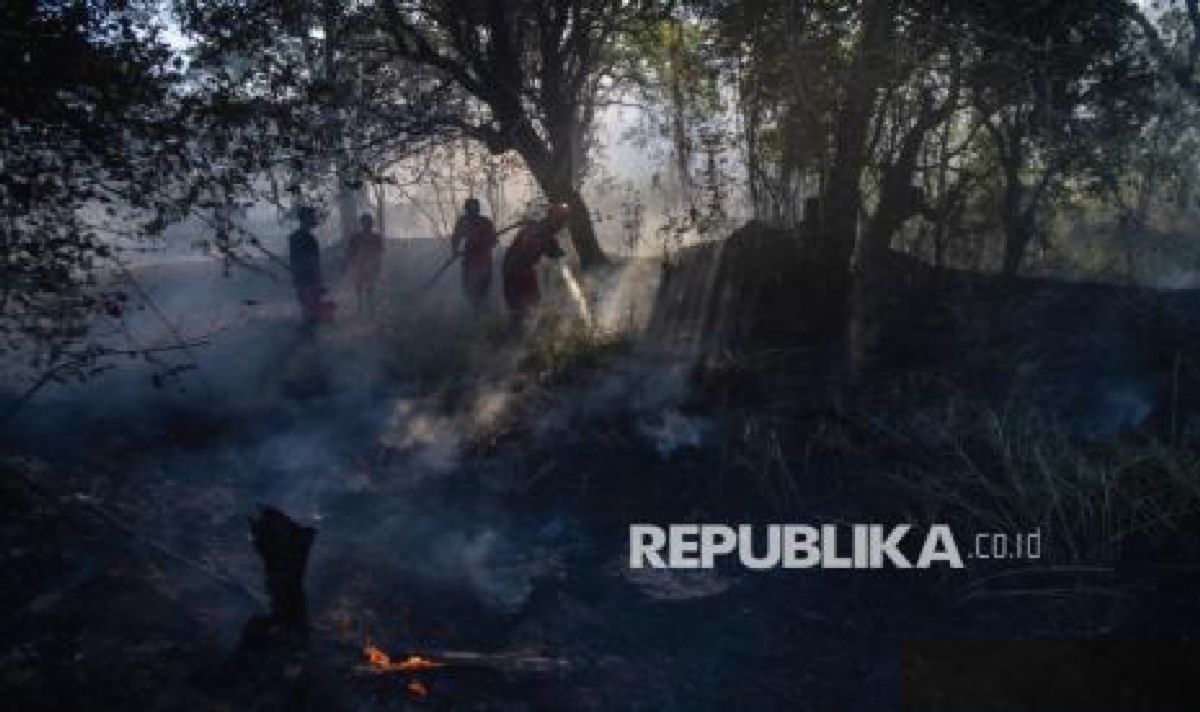 Kolaborasi Petugas dan Warga Berhasil Padamkan Kebakaran Lahan Ogan Ilir