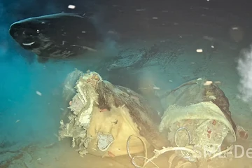 llmuwan Tenggelamkan Sapi di Laut Lalu Sosok Raksasa Muncul