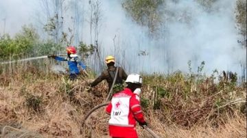 Faktor Penyebab Karhutla