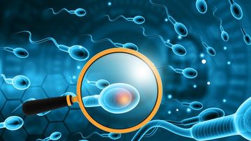 Studi Terbaru: Salah Satu Penyebab Keguguran Berulang yaitu Sperma dengan DNA Rusak