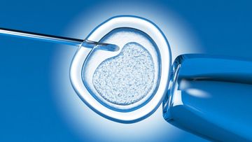 Kini 3 dari 4 Kehamilan dengan IVF Dihasilkan dari Embrio Beku