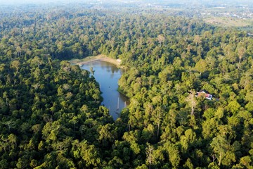 10 Negara dengan Hutan Terluas di Dunia, Indonesia Nomor Berapa?