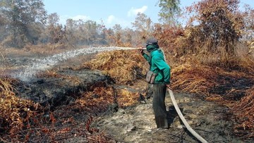 Karhutla Hantui Indonesia Saat Kemarau, Pakar UMM Sarankan 3 Langkah Ini