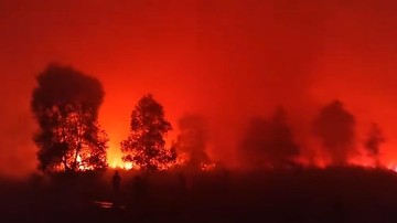 Kebakaran di Taman Nasional Way Kambas Capai 673,4 Hektare
