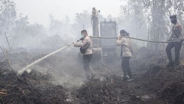 Kalimantan Selatan 'Membara', BMKG Deteksi 473 Titik Panas