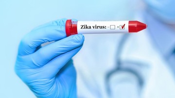 Heboh Alert Virus Zika di Bali Meski Dibantah Kemenkes RI, Ini Gejala yang Bisa Muncul