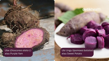 Masih Banyak Lho yang Keliru, Ini Perbedaan Ube Vs Ubi Ungu